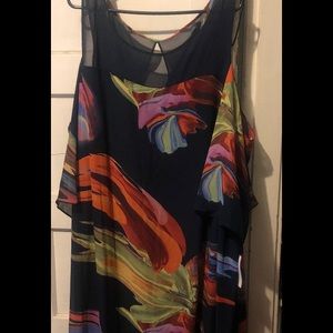 Signature by Robbie bee size 20 women’s dress !